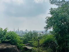 -白水寺森林公园