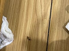 -如家旗下-北京丰台东大街地铁站华驿酒店