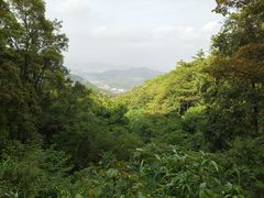 -广州市帽峰山景区