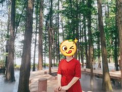 -东湖落雁景区