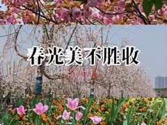 -上海交通大学(闵行校区)