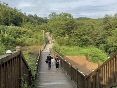 -贵州百里杜鹃风景名胜区
