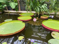 -国家植物园南园