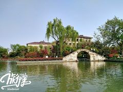 -青枫公园