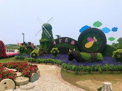 -荷兰花海