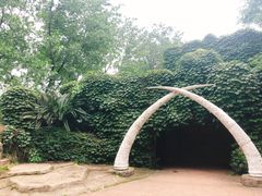 -南昌动物园