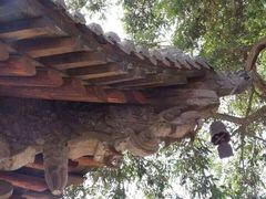 -张掖大佛寺景区