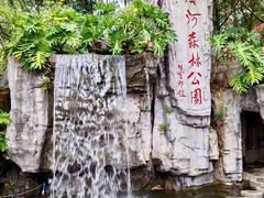 -广州市流溪河国家森林公园