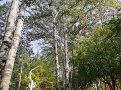 -西安市长乐公园