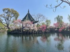 -无锡蠡湖国家湿地公园-蠡园