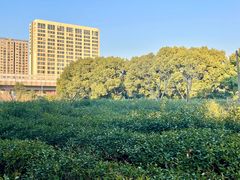 -张鸟园农家乐(张鸟园店)