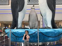 -帝企鹅自助餐厅•儿童岛•真企鹅(长隆企鹅酒店)