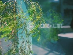 -Home Cafe(水榭春天店)