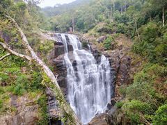 -海南热带雨林国家公园吊罗山景区