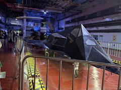 -泰达航母主题公园