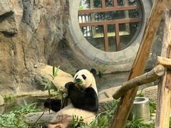 -香港海洋公园