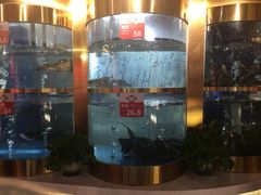 -蜀滋香鲜鱼美蛙火锅(339店)