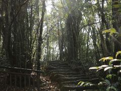 -大围山国家森林公园