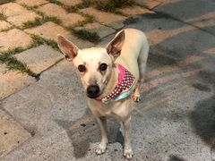 门面-阿飞冲浪旅店一馆