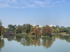 -海珠湖公园