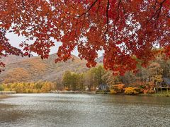 -龙道沟景区