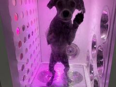 -圣宠动物医院·犬猫专科·影像中心·外科中心