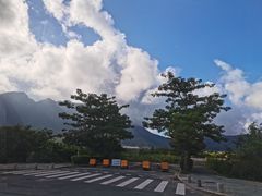 -杨梅坑