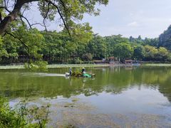 -星湖旅游景区七星岩