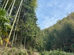 -仙霞关景区