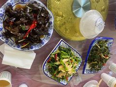 -照金特色农家乐