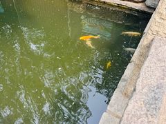 -春风习习
