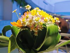 -花开餐厅(环湖中路店)