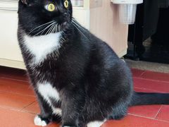 -溪岸路花鸟市场