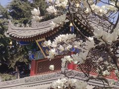 -西安市广仁寺