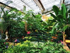 -沈阳植物园