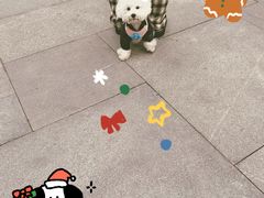 -花悦四季足道会所(钟家村店)