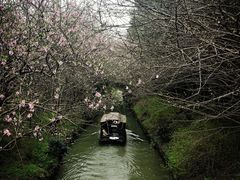 -同里国家湿地公园