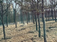-太原动物园