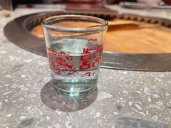 -二胖家铁锅炖大鹅(双井店)