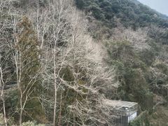 -天明山温泉大酒店