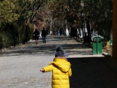-罗布林卡