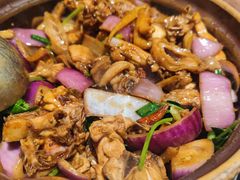 -胡须佬鸡煲四季火锅店(石厦西村直营店)