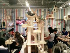 -小时光咖啡馆(开森度假森林店)