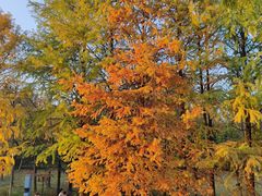 -浙江农林大学(东湖校区)