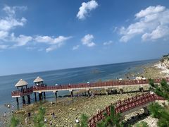 -养马岛旅游度假区
