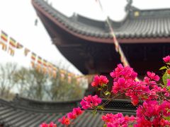 -杭州上天竺法喜讲寺