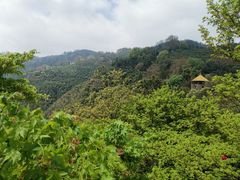 -莫干山风景区
