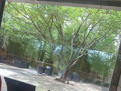 -阳澄湖费尔蒙酒店颐丰阁中餐厅(马鞍山西路店)