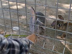 -歌斐颂巧克力小镇