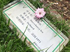 -人民公园(罗湖区)